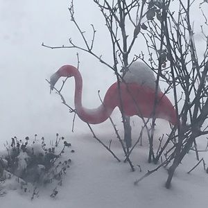 Meet your Posher, Raymond